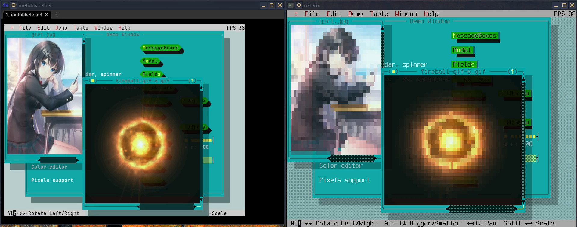 Two terminals sharing one session, with images rendered differently for each terminal